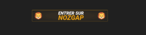 entrer sur nozgap